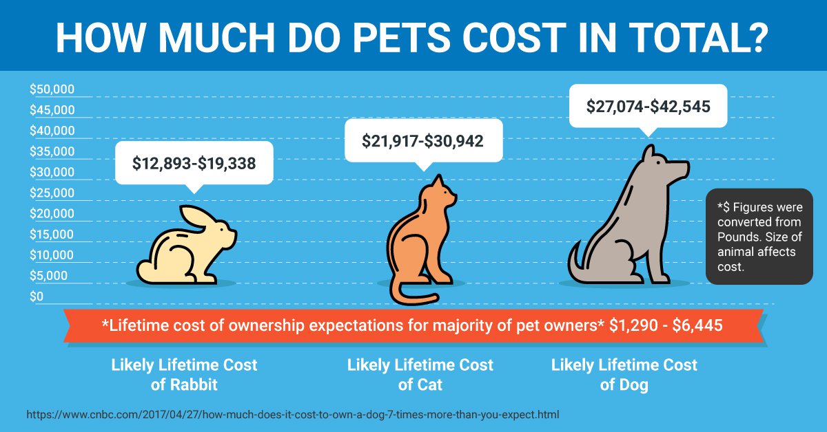 Infographic Showing True Cost of Pet Over A Lifetime